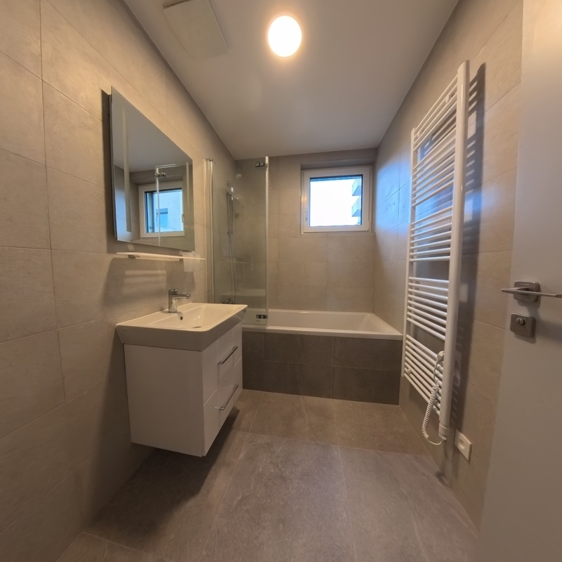 Pronájem bytu V3-20 3kk SV s balkonem a krytým parkovacím stáním - Liberec - Staré Pavlovice