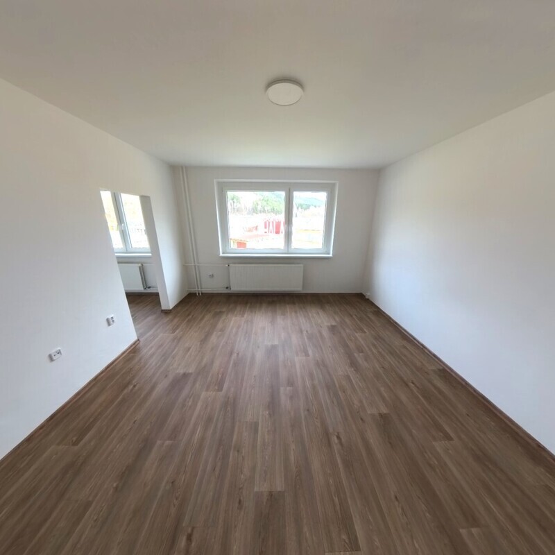 Prodej DR. bytu 2+1+L v Hodkovicích, ul. Podlesí