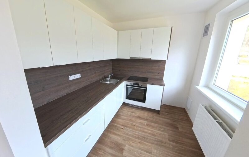 Prodej DR. bytu 2+1+L v Hodkovicích, ul. Podlesí